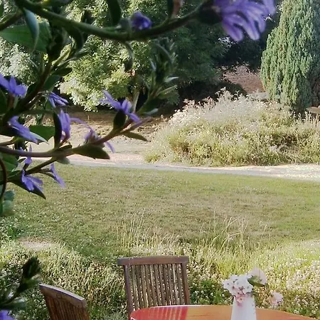 De Charme Sur La Cote D'albatre *